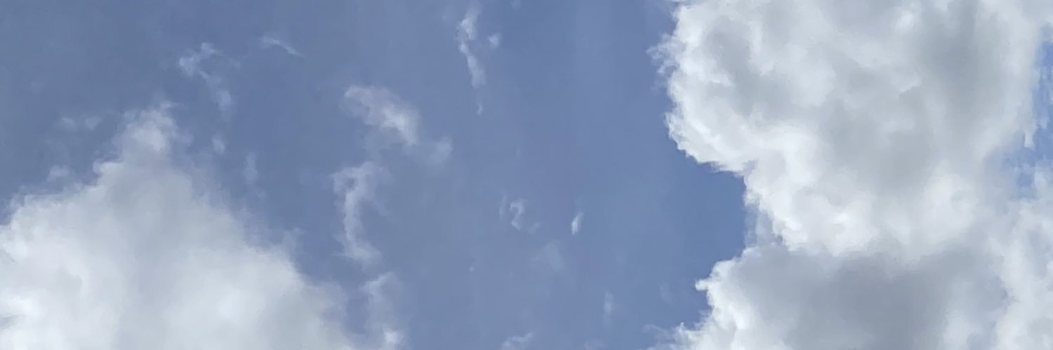 ʚ mumie, 1999 ɞ's banner