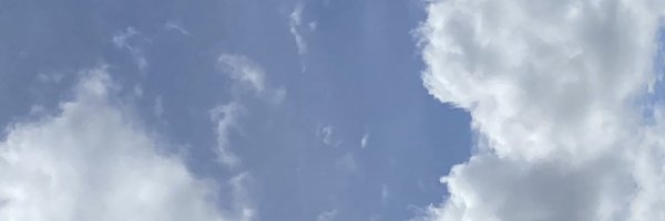 mumiemimimu Profile Banner