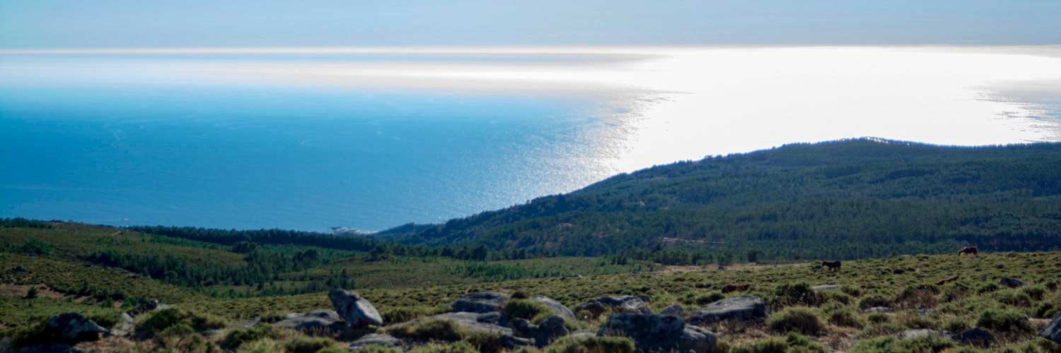 gorilacabreao's profile banner image