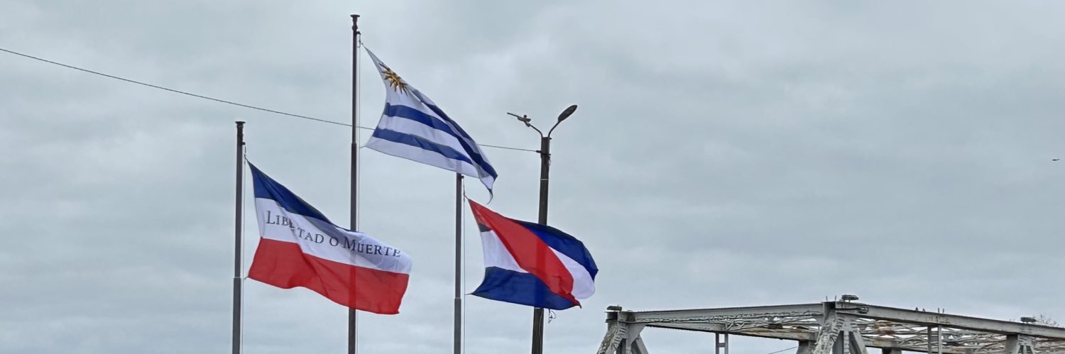 Igor Bimbiris banner