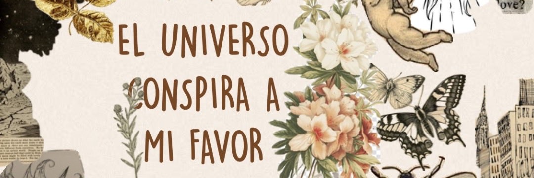 Solcitoo🌻☀️ banner