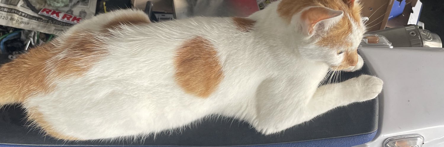 山中さん🔰👩‍❤️‍💋‍👨 banner