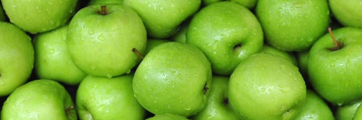 renet symirenka🍏 banner
