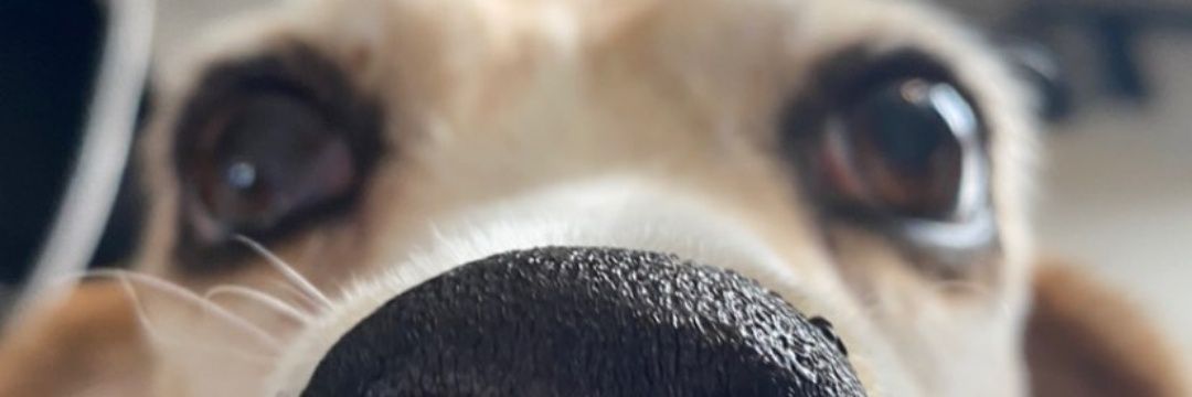 se_du_ca's profile banner image