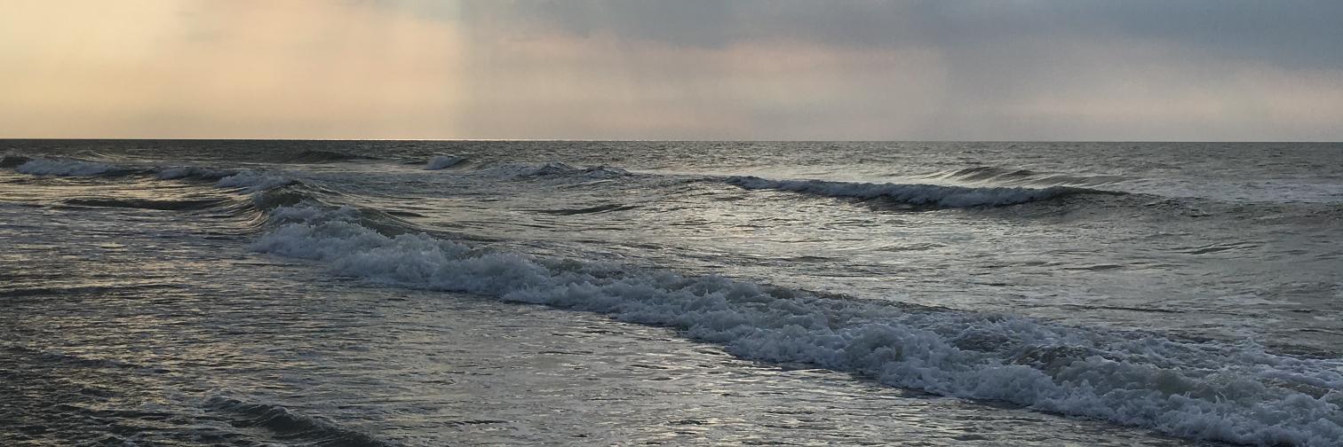 Rebecca Waters banner