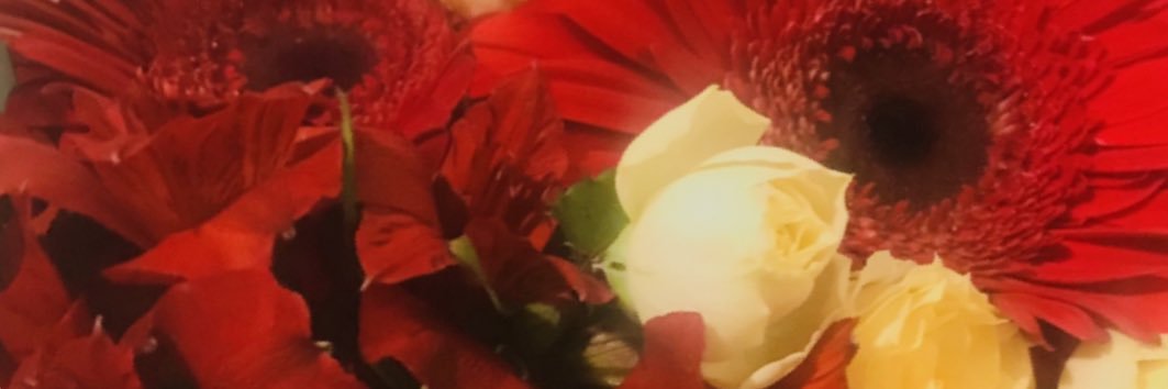 🍎PURASUMOMO🍎 banner