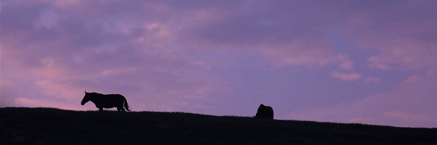 luxin37's profile banner image