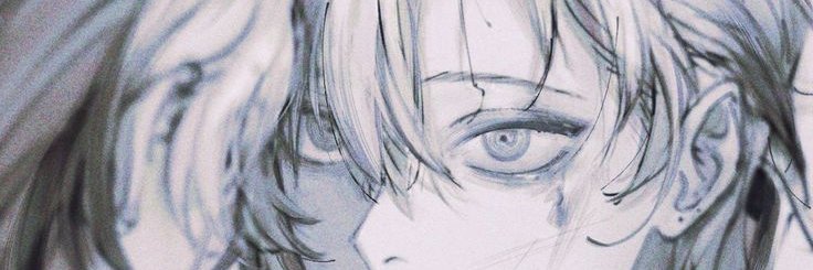 neidasu_'s profile banner image