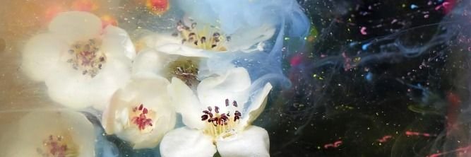 MonsieurBluee's profile banner image