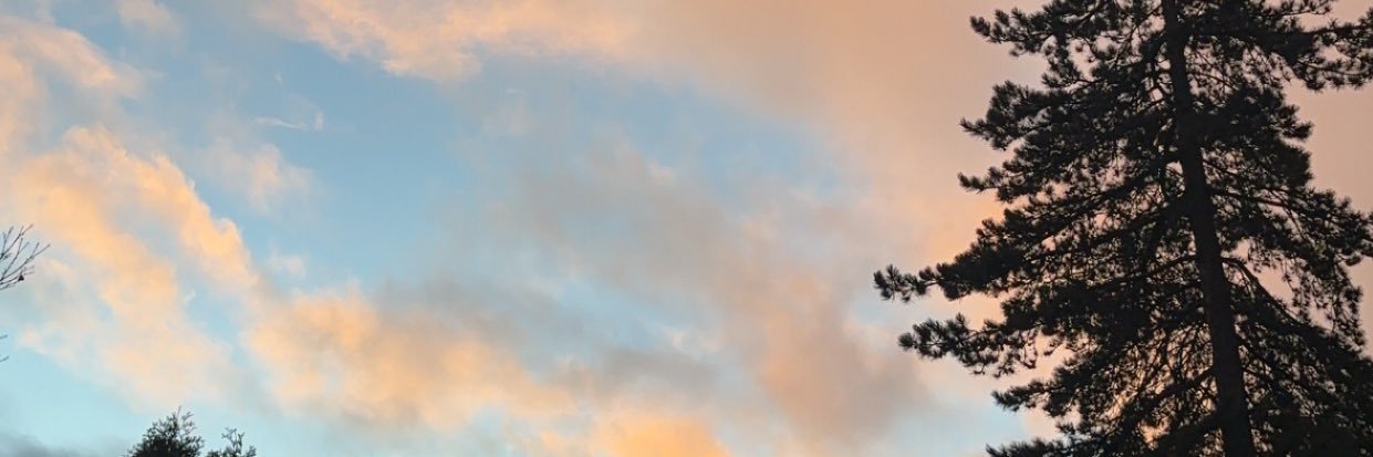 guavabby14's profile banner image