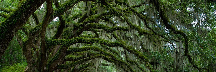 Tinker With Words aka Regina B. banner