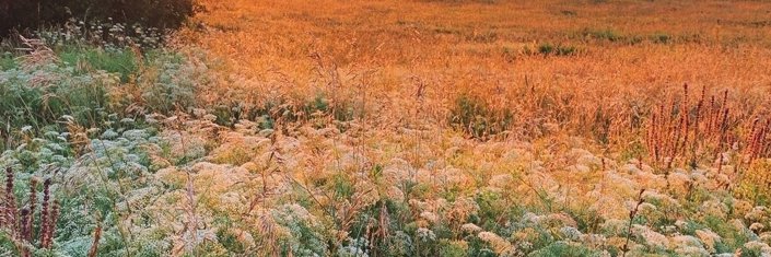 Игорь Красиуков banner