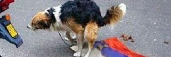 ScarySharp banner