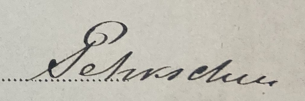 Matiss Steinerts banner