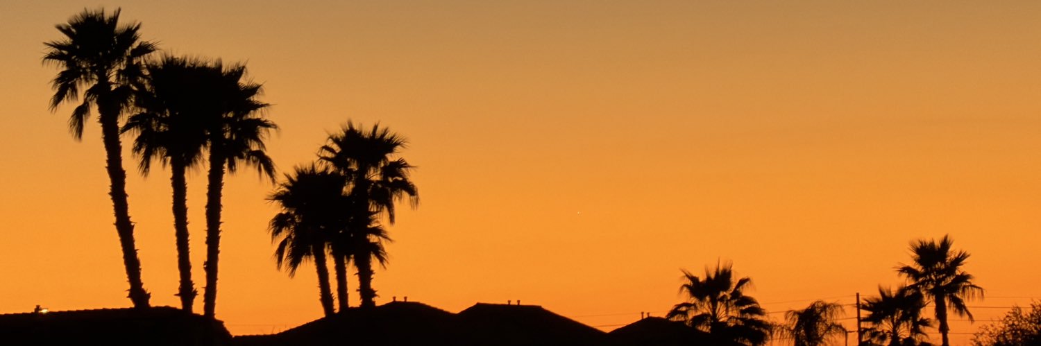 Michael Shandro banner