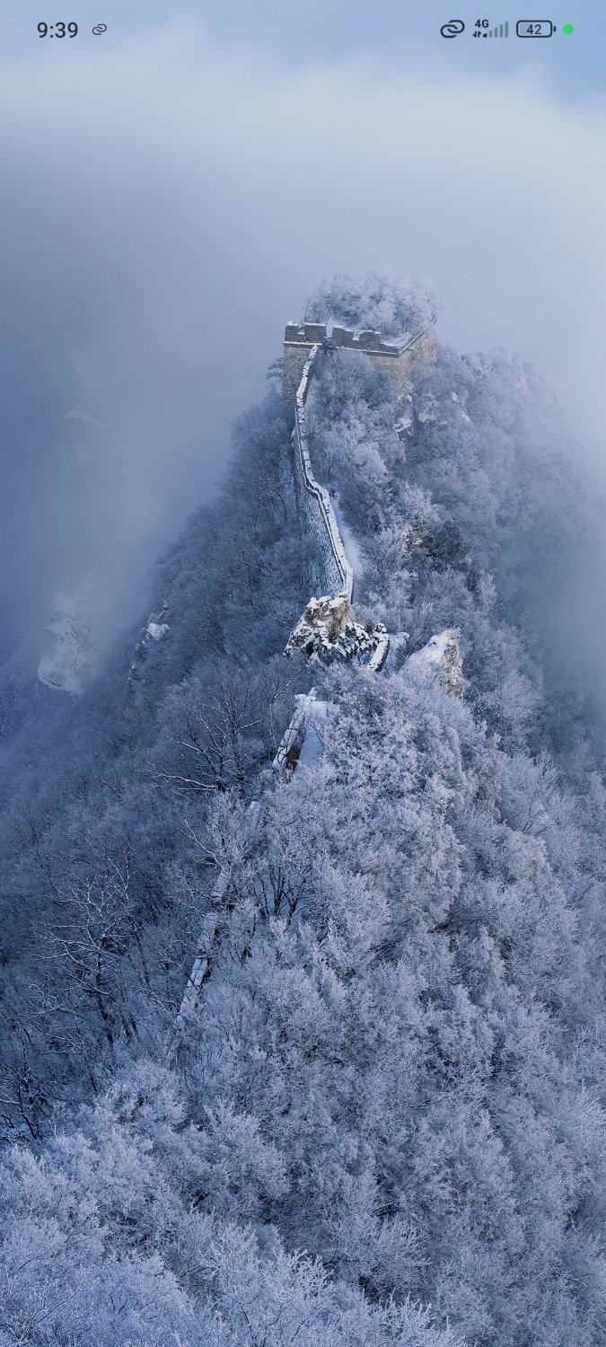 Olamiposi Johnson $meow banner