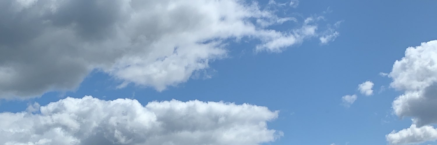 SilvanaVergaraC's profile banner image