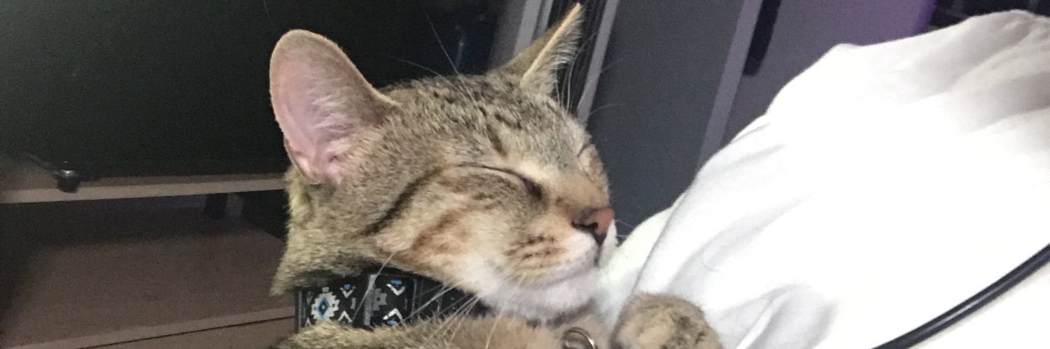 Xavius Dawnstar 🦋 banner