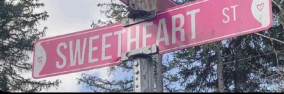 𝓕𝓪𝔀𝓷 𖦹 banner