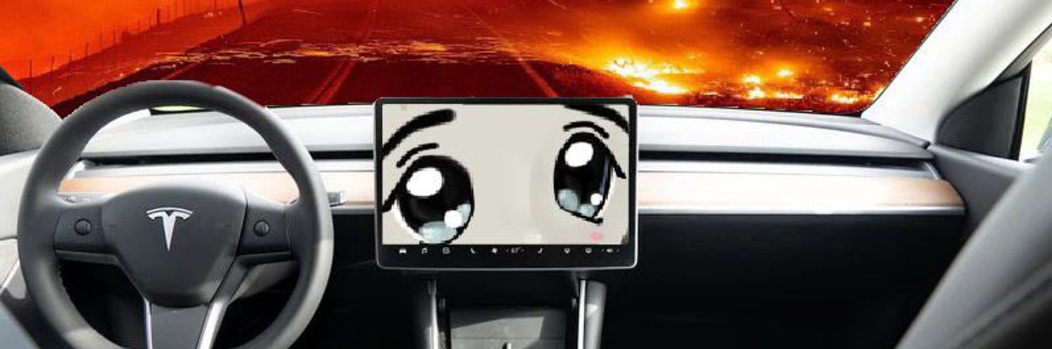 smol elon milady whale🥺💖 banner