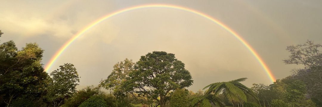 Efozy ex 👑🦅 banner