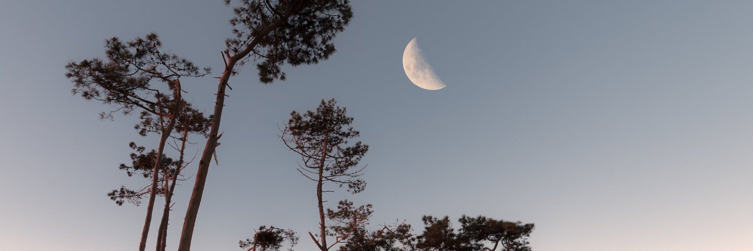 SeamanDavid1's profile banner image