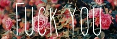 DistinguidaD4ma's profile banner image