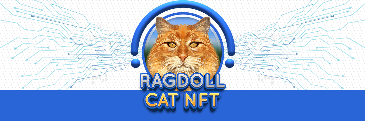 RagdollCat NFT banner