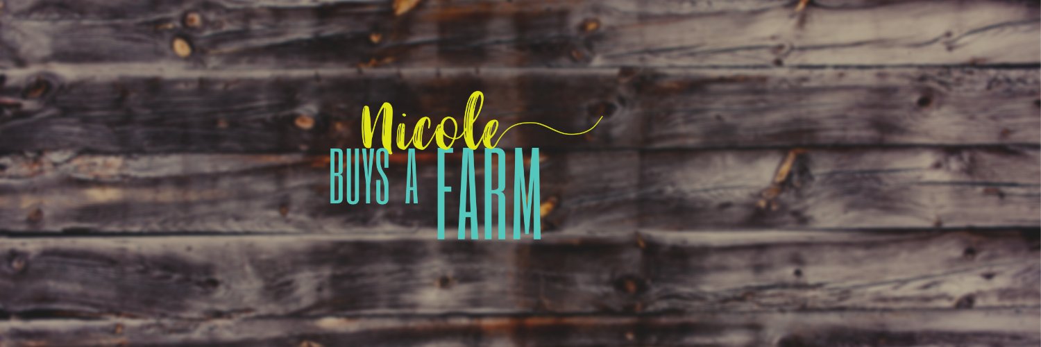nicki_van's profile banner image