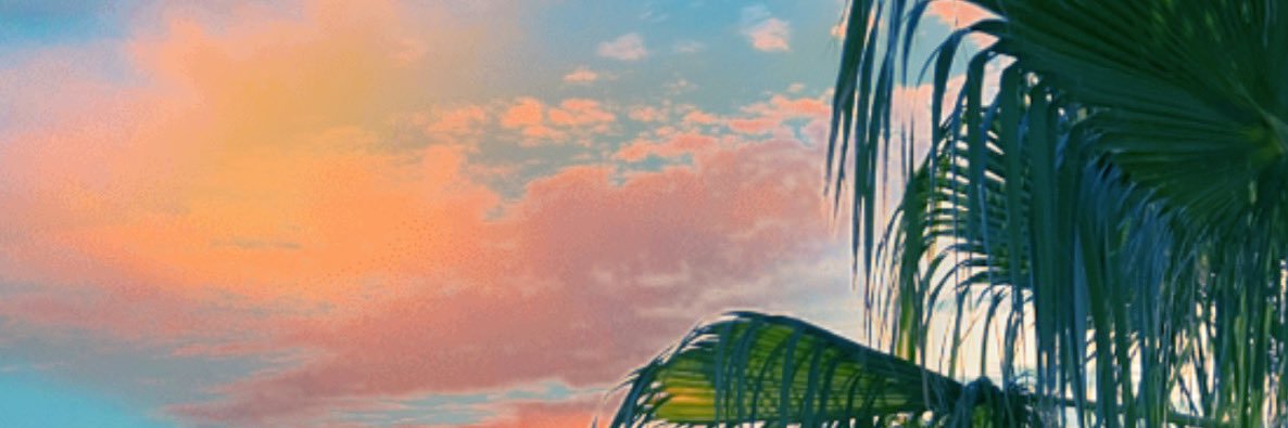emdinsmore3's profile banner image