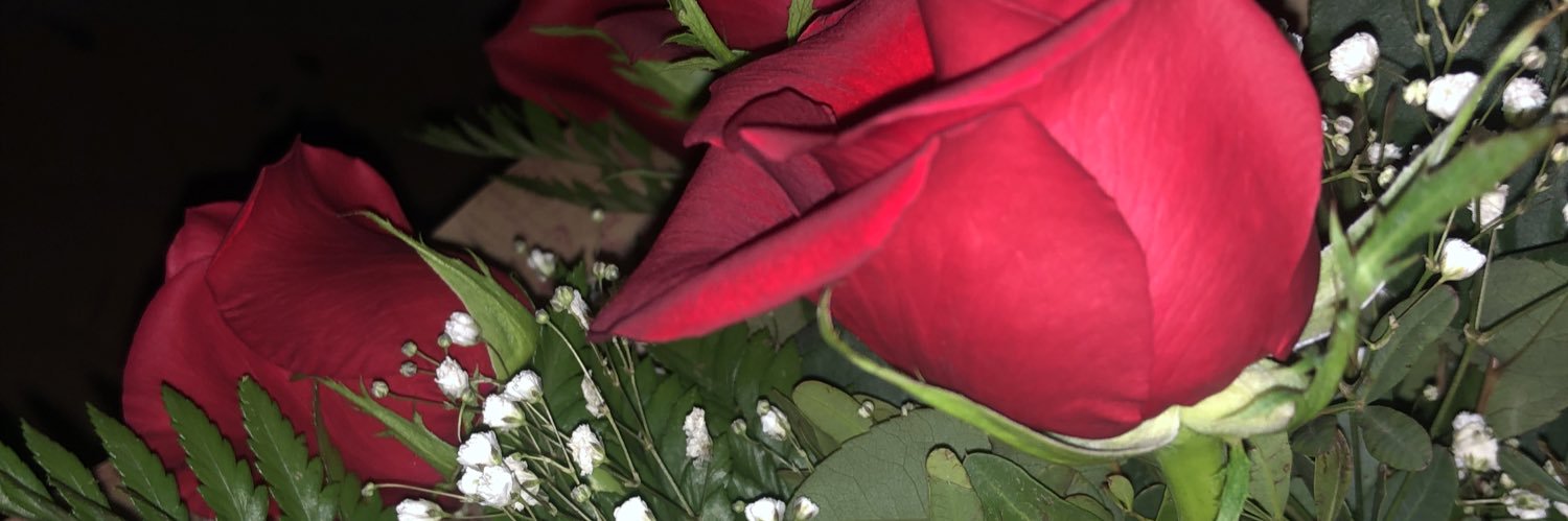 🌙 banner