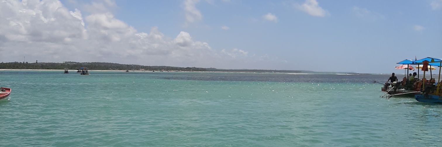 Maliabarbosa's profile banner image