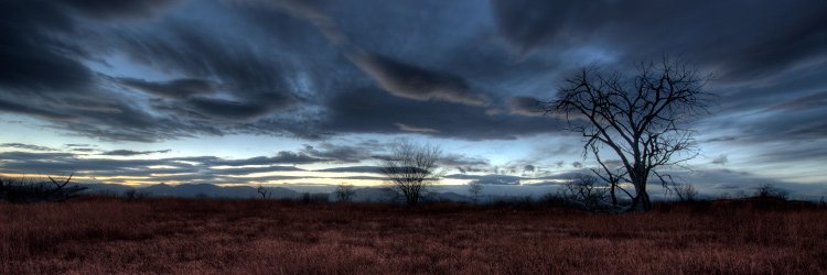 Michael_Bryant's profile banner image