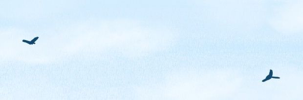 mida_u7's profile banner image