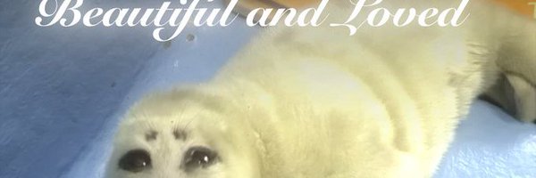 paxtonsiempre Profile Banner