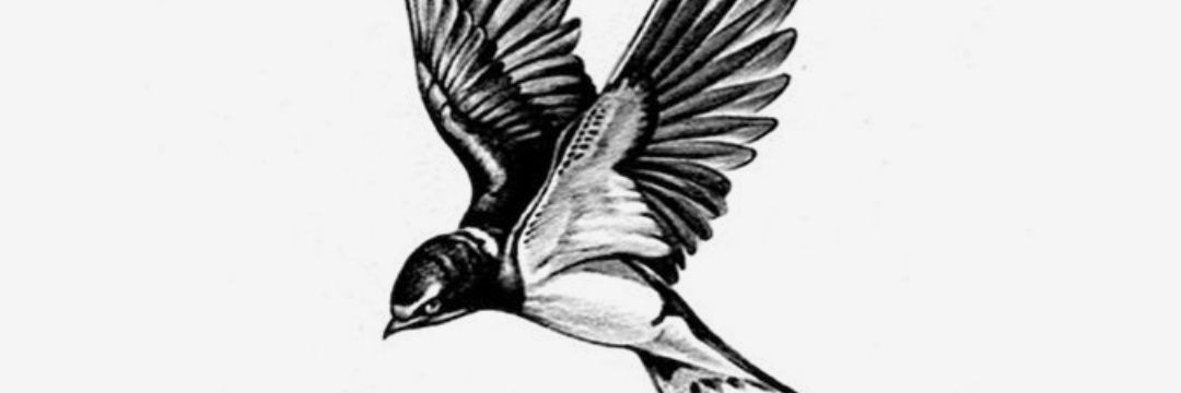RGoancalves's profile banner image
