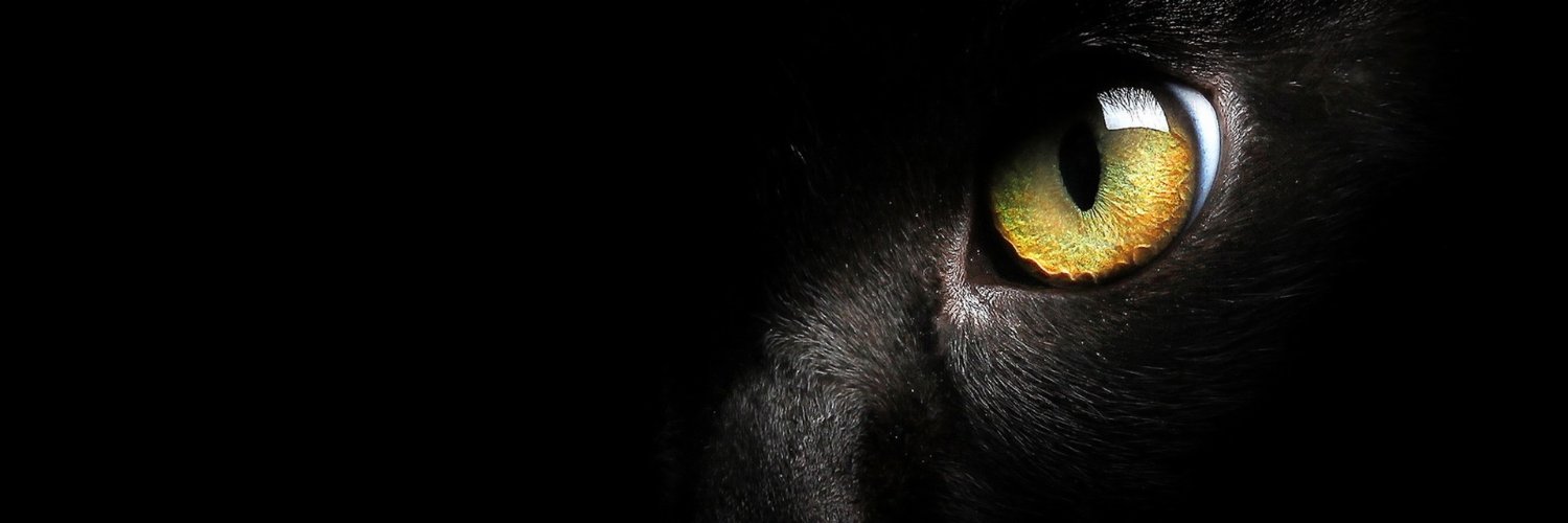 ABDELHAMID ELHABACHI banner