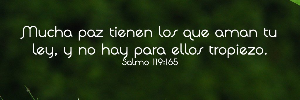 Massiel_Z's profile banner image