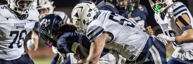 Eli Tolley banner