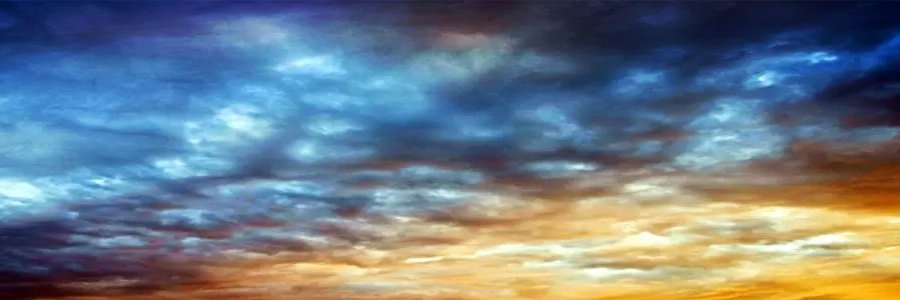 Steve Diamond banner