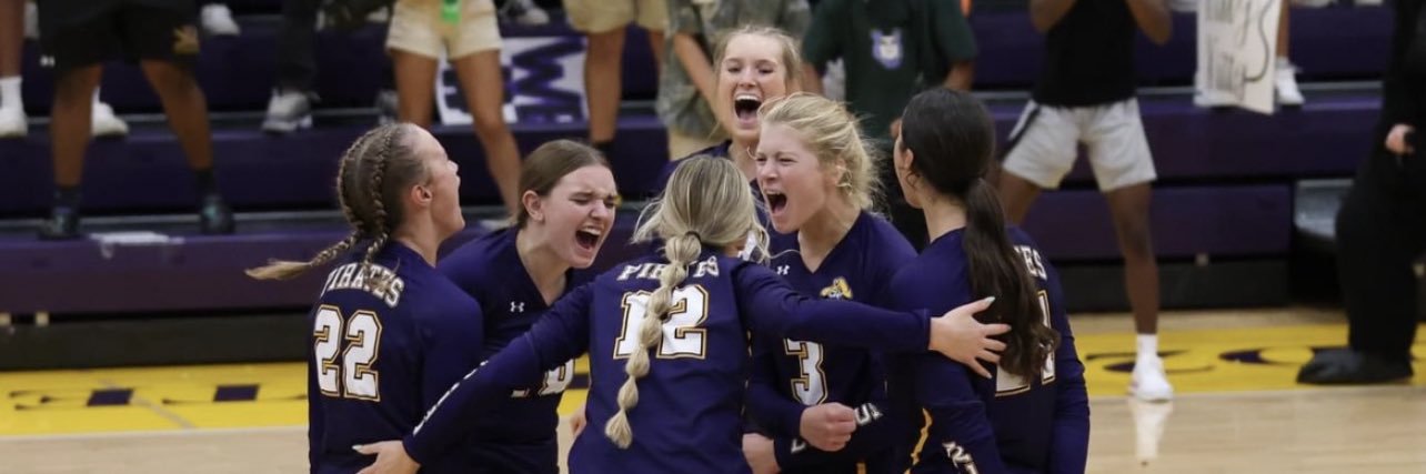 Phoenix Fogel banner