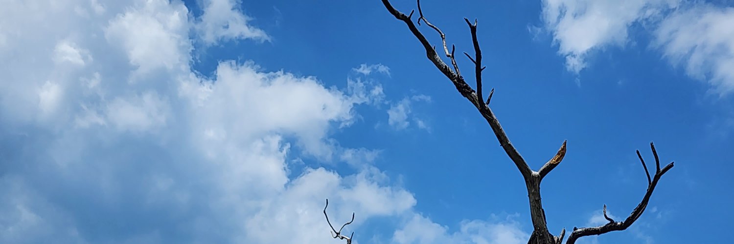 短，细，軟 banner