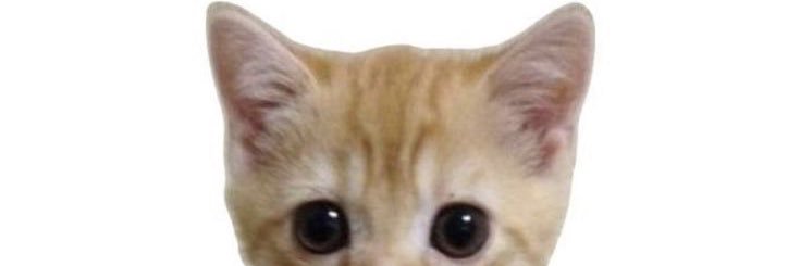 vanes00ta's profile banner image