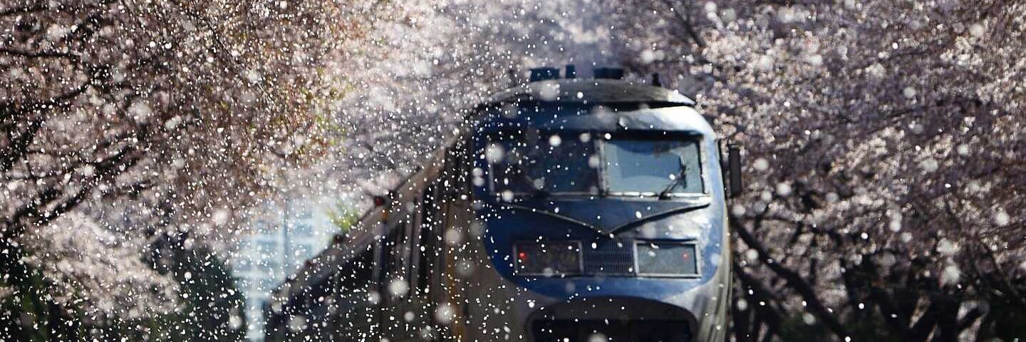 L'EX GARS DE LA GO KROUMEN CLAIRE banner