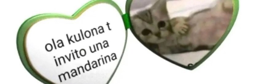 N°1 Velvetomo fan banner