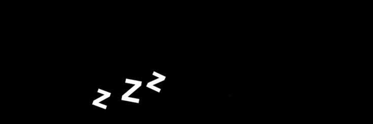 meg_fush's profile banner image