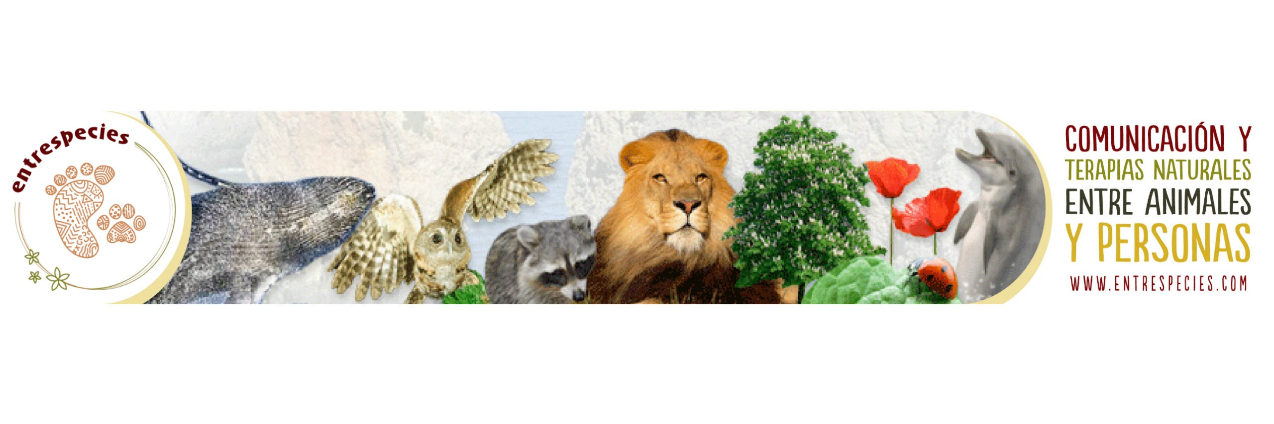 Entrespecies's profile banner image