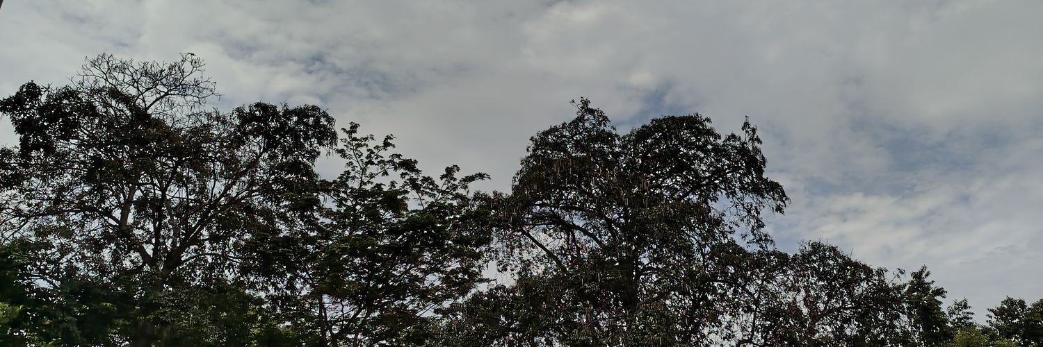 mlasthunderbolt's profile banner image
