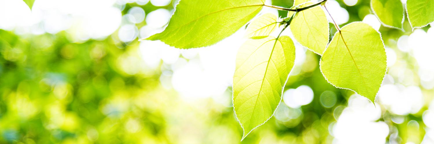 legroupemaster's profile banner image