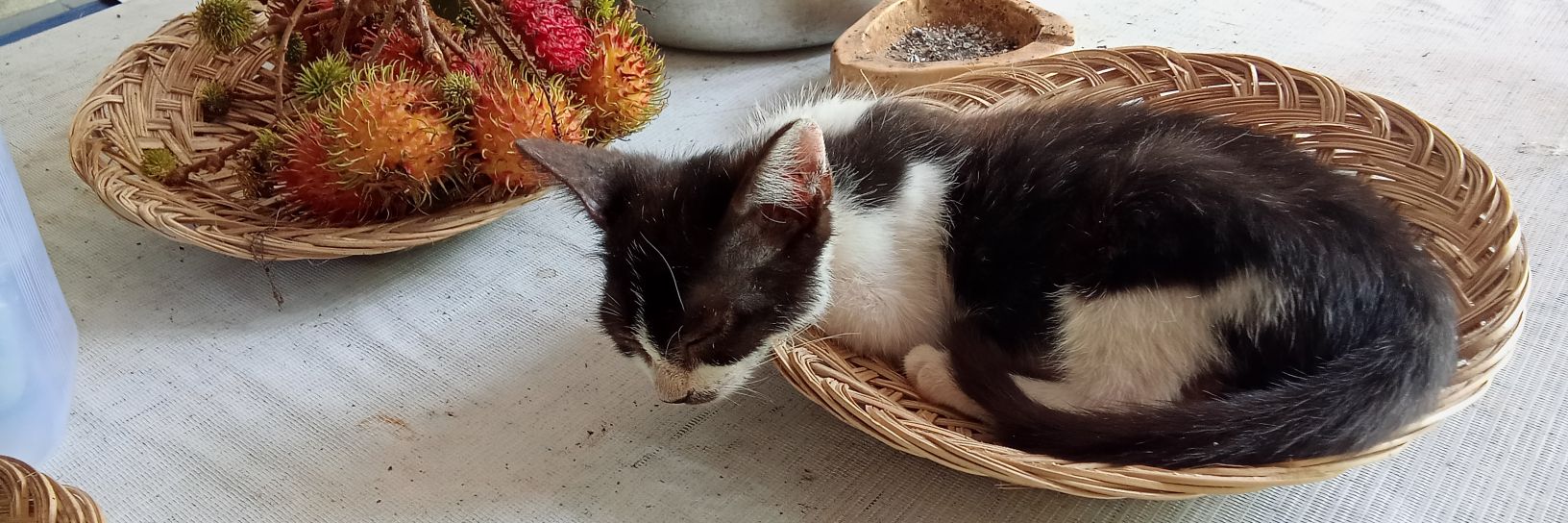 Bit bit kecil ayah banner